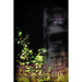 Bete Noire issue #27