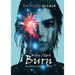 Why Stars Burn