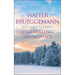 Celebrating Abundance: Devotions for Advent