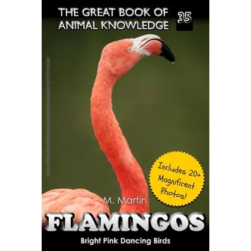 Flamingos: The Bright Pink Dancing Birds