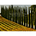 The Green Heart of Italy