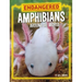 Endangered Amphibians Around the World
