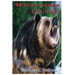 Wilderness Challenge