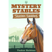 Stolen Saddles: A fun-filled mystery featuring best friends and horses