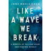 Like a Wave We Break: A Memoir of Falling Apart and Finding Myself
