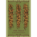 How Long Your Roots Have Grown