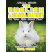 THE ENGLISH ANGORA RABBIT Do Your Kids Know This?: A Children's Picture Book