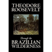 Through the Brazilian Wilderness by Theodore Roosevelt, Travel, Special Interest, Adventure, Essays & Travelogues
