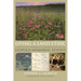 Living a Land Ethic: A History of Cooperative Conservation on the Leopold Memorial Reserve