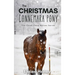 The Christmas Connemara Pony - The Coral Cove Horses Series