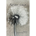 Fallen Love