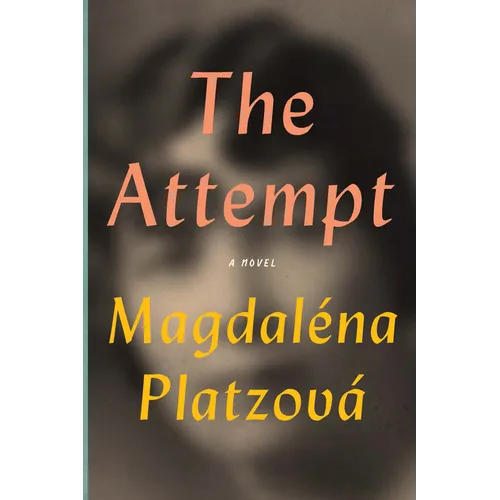 The Attempt