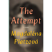 The Attempt