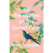 All the Acorns on the Forest Floor