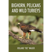 Bighorn, Pelicans and Wild Turkeys