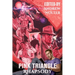 Pink Triangle Rhapsody