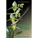 The Emerald Orchid