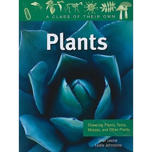 Plants: Flowering Plants, Ferns, Mosses, and Other Plants
