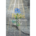 Thriving Through Seasons of Grief: How to Overcome in Life's Disappointments, Change and Loss