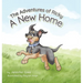 A New Home