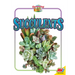 Succulents