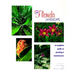 Your Florida Landscape: A Complete Guide to Planting and Maintenance