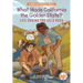What Made California the Golden State?: Life During the Gold Rush: A Who HQ Graphic Novel