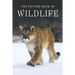 The Picture Book of Wildlife: A Gift Book for Alzheimer's Patients and Seniors with Dementia