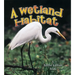 A Wetland Habitat