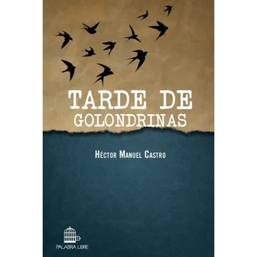 Tarde de golondrinas