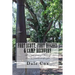 Fort Scott, Fort Hughes & Camp Recovery: Three 19th Century Military Sites in Southwest Georgia