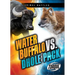 Water Buffalo vs. Dhole Pack