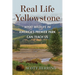 Real Life Yellowstone: What Wildlife in America's Premier Park Can Teach Us