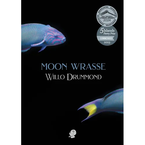 Moon Wrasse