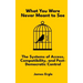 What You Were Never Meant to See: The Systems of Access, Compatibility, and Post-Democratic Control