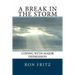 A Break in the Storm: Coping with Major Depression