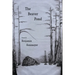 The Beaver Pond