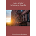 Ashes of Light/La Luz de un Cigarrillo
