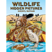 Wildlife Hidden Pictures