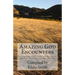 Amazing God Encounters: Amazing Stories of God's Intervention