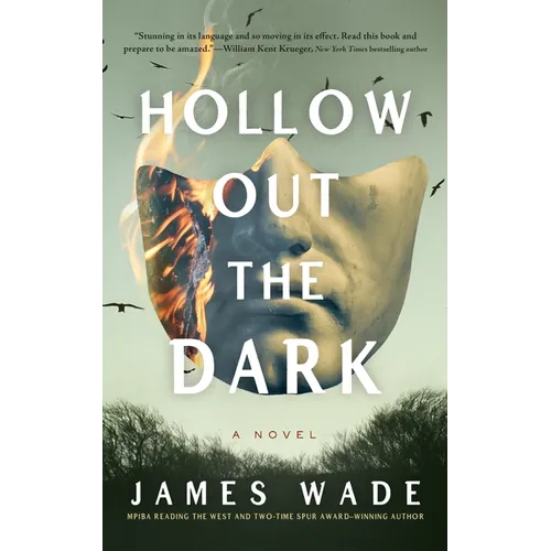 Hollow Out the Dark