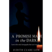 A Promise Made In The Dark