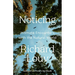 Noticing: Intimate Encounters with the Natural World