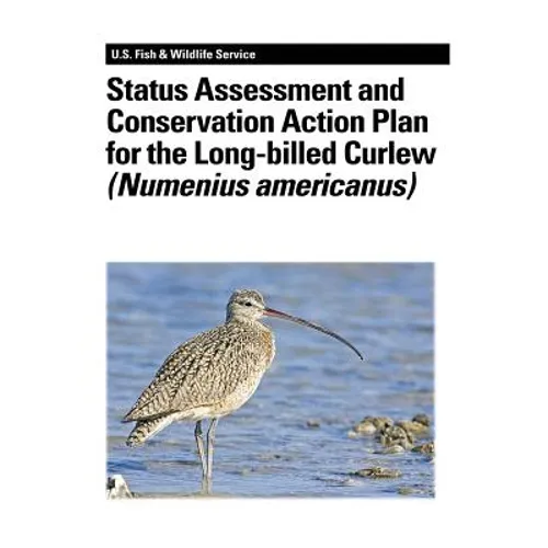 Status Assessment and Conservation Action Plan for the Long-billed Curlew (Numenius americanus)
