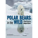 Polar Bears in the Wild: A Visual Essay of an Endangered Species