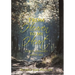 From Heaven to My Heart: God's Journey with Me