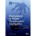 Mechanisms of Mitotic Chromosome Segregation