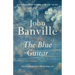 The Blue Guitar