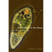 Amoeba in the Room: Lives of the Microbes