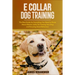 E Collar Dog Training: The Best Guide for Everything You Need to Know About Electric Collar for Training Your Dog and Ensuring Good Behaviour